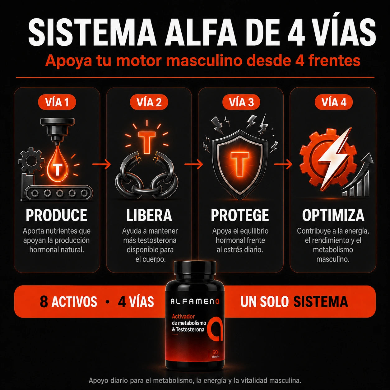 Alfamen® Recuperá tu energía, apoyá tu vitalidad masculina y volvé a verte firme