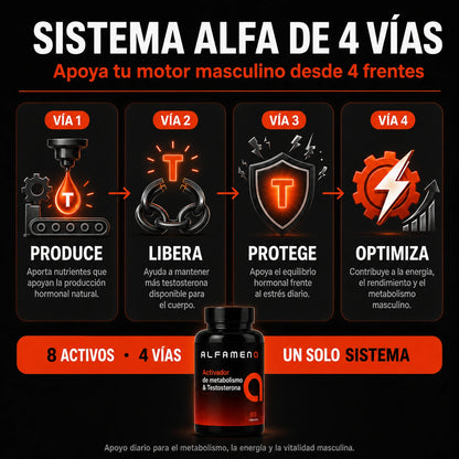 Alfamen® Recuperá tu energía, apoyá tu vitalidad masculina y volvé a verte firme